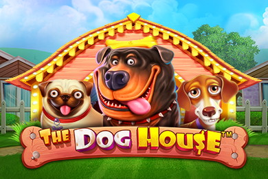 The Dog House играть в Олл Ин Казино